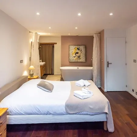 Apartamento Tisserand Furnished Flat Annecy