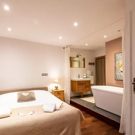 Tisserand Furnished Flat * Annecy
